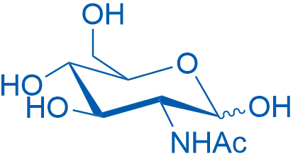 N-Acetyl-D-glucosamine